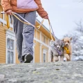 hurttaseekerharness_lavender_ss26_11.jpg