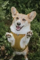 1686778589272_1.webp