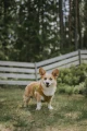 1686778417348_1.webp