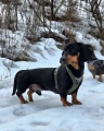 1775128251__1000022364__original.webp