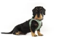 Curli-Szelki-dla-psa-Clasp-Air-Mesh-Olive (1).jpg