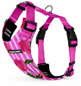 Szelki bezuciskowe dla psa PRO-FIT™ Gardenia Dog's Profit 