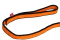 bungee_leash_2019_feature_1.webp