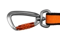 bungee_leash_2019_feature_2.webp