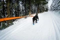 bungee_leash_setting_2.jpg