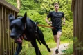 bungee_leash_setting_1.webp