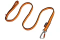 bungee_leash_1.webp