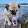 SmoothieDog-Sensitivo-smoothie-dla-psa-z-alergia-pokarmowa-konina-250ml_[2929]_1200.jpg