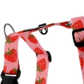 szelki_guard_fragola_03__preview.webp