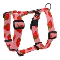 szelki_guard_fragola_01__preview.webp