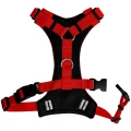 szelki-bezuciskowe-basic-czerwone-jak-cegla-04__preview.webp