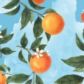 2__03__preview.webp