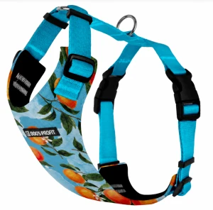 Szelki bezuciskowe dla psa PRO-FIT™ ARANCI Dog's Profit