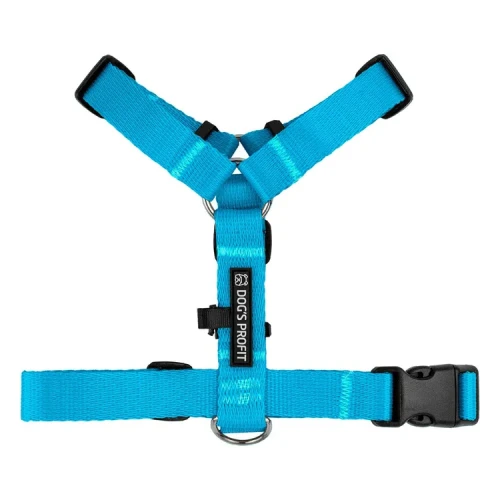 szelki_guard_niebieskie_02__preview.webp