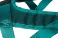 rush_harness_feature_2.webp