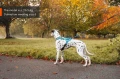 rush_harness_setting_8.jpg