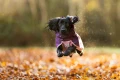 fjord_raincoat_2_0_setting_6.webp