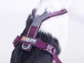 1629-12_non-stop-dogwear-line-5-0-harness.webp