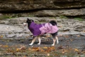Mountain-Dog-Non-Stop-Dogwear-Fjord-Raincoat-2-Lifestyle-8.webp