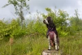 Mountain-Dog-Non-Stop-Dogwear-Fjord-Raincoat-2-Lifestyle-11.webp
