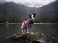 Non-stop dogwear Fjord Raincoat 2.0 Mauve3