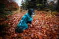 Mountain-Dog-Non-Stop-Dogwear-Fjord-Raincoat-2-Lifestyle-13.webp