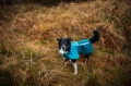 Mountain-Dog-Non-Stop-Dogwear-Fjord-Raincoat-2-Lifestyle-12.webp