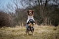 Mountain-Dog-Non-Stop-Dogwear-Fjord-Raincoat-2-Lifestyle.webp