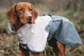 Mountain-Dog-Non-Stop-Dogwear-Fjord-Raincoat-2-Lifestyle-3.webp