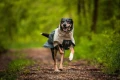 non-stop-dogwear-fjord-raincoat-2-0-gray-70.jpg