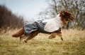 Non-stop-dogwear_Fjord-Raincoat-2.0-Grey_Mantel-fuer-Hunde-wasserabweisend.webp