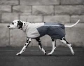 fjord-raincoat-2.0-grey-47752.jpg