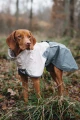 Non-stop-dogwear_Fjord-Raincoat-2.0-Grey_Regenmantel-fuer-Hunde-wasserabweisend.webp
