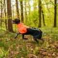 Non-stopFjordRaincoat2.0OrangeLOBITOS4.webp