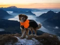 PR365BI3305_JKT_50038_Fjord_raincoat_2_0_IMD.jpg