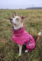 Kurtka przeciwdeszczowa Hurtta Monsoon Coat II Eco Ruby kika