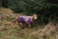 glacier_jacket_3_setting_3.webp