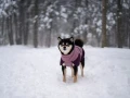 Non-stop-Glacier-Jacket-3.0_Scenenbild-1.jpg