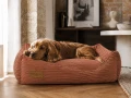 spaniel na legowisku deco ceglanym bowl bone.png