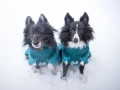 2981-15_non-stop-dogwear-glacier-3-0-winter-jacket.webp