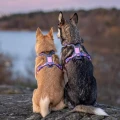 line_harness_5_0_rp_setting_4_720x.webp