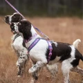 line_harness_5_0_rp_setting_2 (1).webp