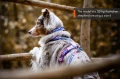 line_harness_5_0_rp_setting_2.webp