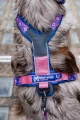 line_harness_5_0_rp_feature_4.jpg