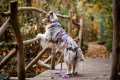 line-harness-5.0-rachel-pohl-edition-purple-pink-1614-1621-11-lifestyle.jpg