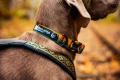 line-harness-5.0-rachel-pohl-edition-teal-oak-1622-1629-17-lifestyle. (2).jpg