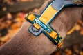 line-harness-5.0-rachel-pohl-edition-teal-oak-1622-1629-15-lifestyle. (1).jpg