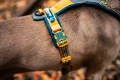 line-harness-5.0-rachel-pohl-edition-teal-oak-1622-1629-16-lifestyle..jpg