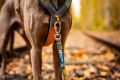 line-harness-5.0-rachel-pohl-edition-teal-oak-1622-1629-18-lifestyle. (5).jpg