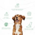 materialy-graficzne-10-1024x1024.png
